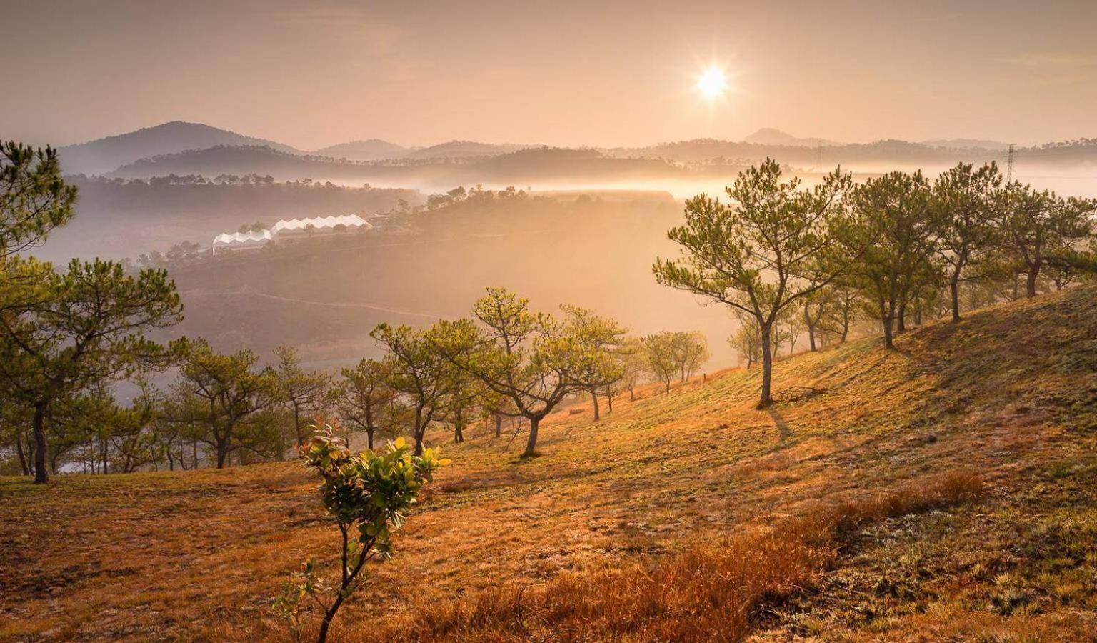 Anh Duc Hotel Da Lat City Eksteriør bilde